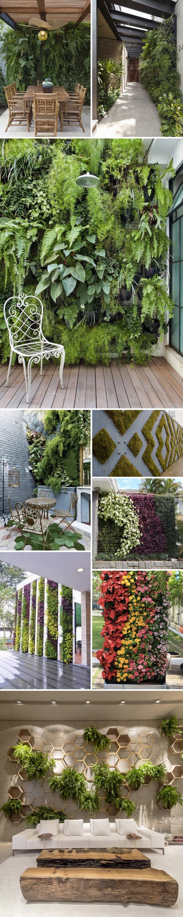 JARDIM VERTICAL: INSPIRAÇÕES PARA SUA CASA - FLÁVIA FERRARI
